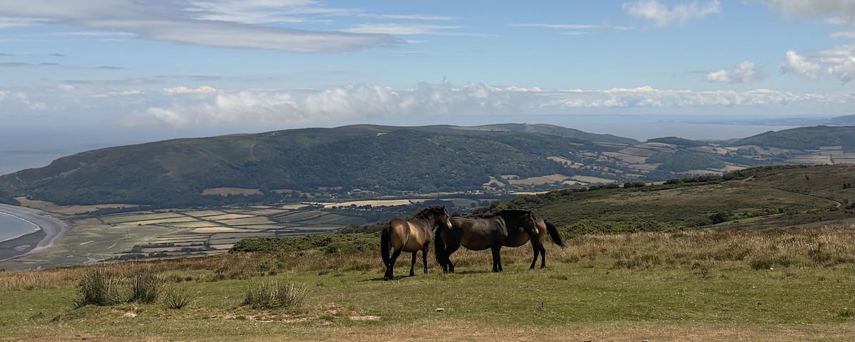 The Heart of Exmoor